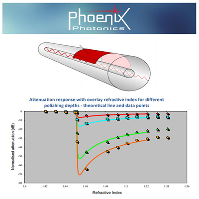 D型侧剖光纤器件